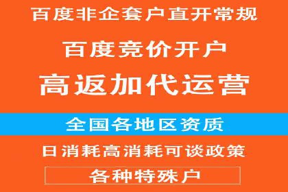 SEM竞价代运营：案例展示精准营销效果