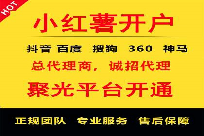 SEM代理助力品牌：案例解析与优化策略
